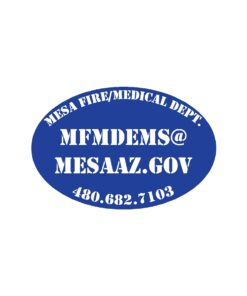 MFMDEMS
